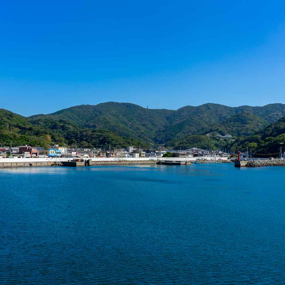 湘南・江ノ島の海でクルージングを楽しむ。江ノ島から三崎までのトリップクルージング